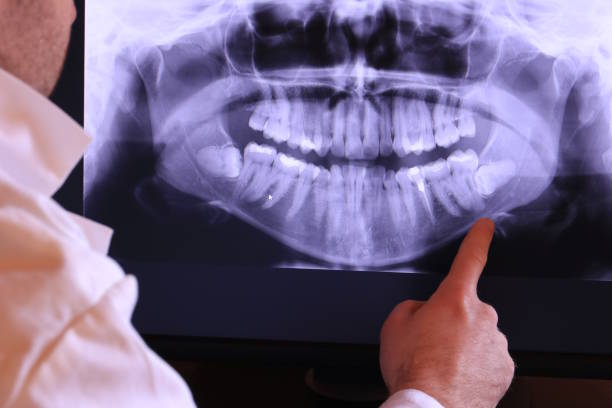 Best Emergency X-Rays and Diagnostics in Ransomville, NY